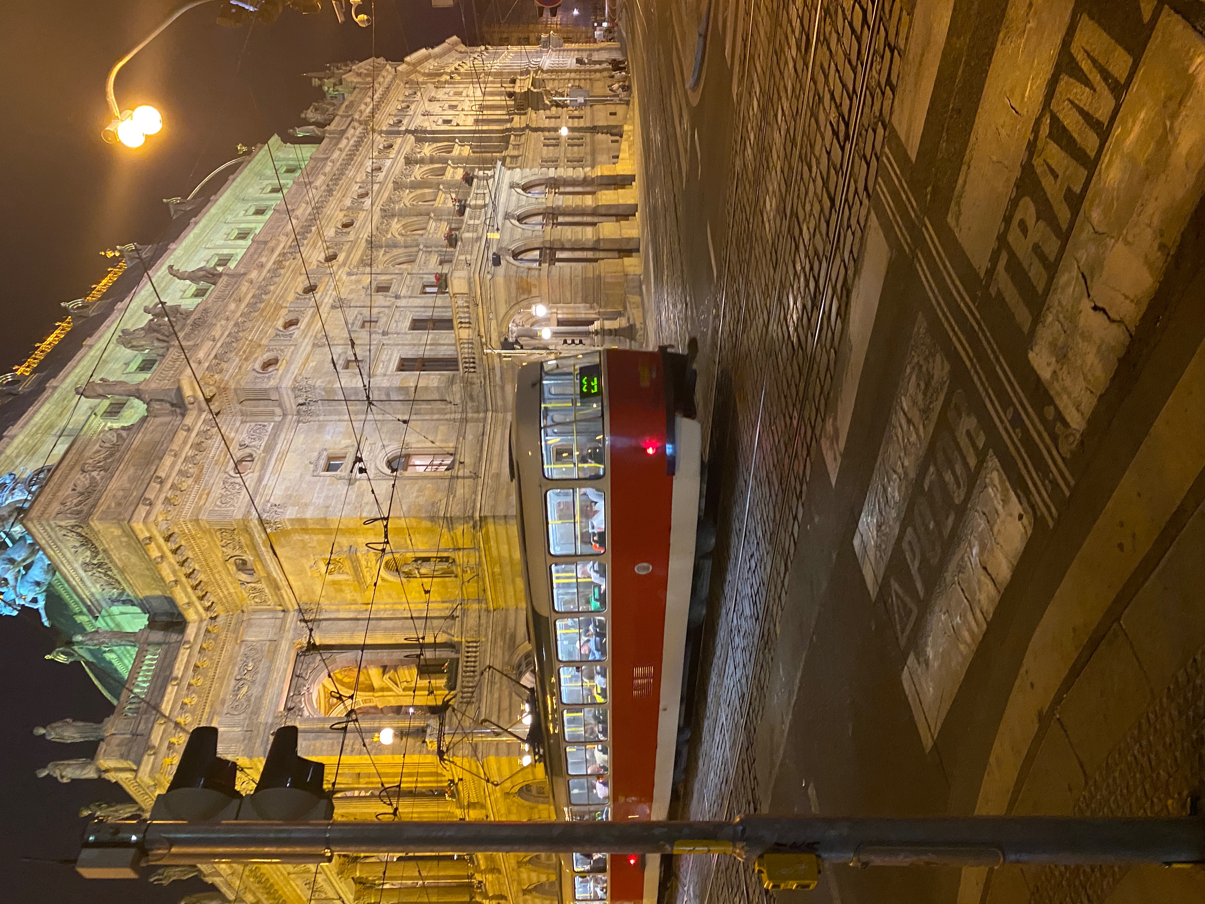 Jessica's garden sanctuary with blooming flowers